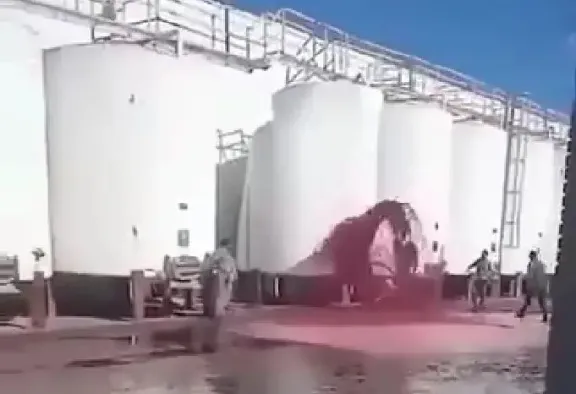 Video. Explotó un tanque y se derramaron más de 50 mil litros de vino thumbnail