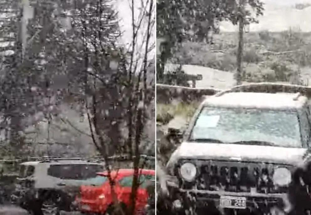 Video: Pehuenia Online