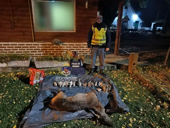 Abigeato: Secuestran un ciervo, trucha y un arma de fuego en la Ruta 40 thumbnail