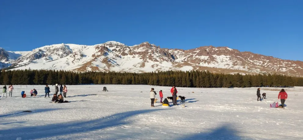 Fotos/Videos: Nicolás Fuentes