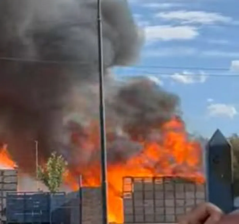 Video: periodista Suyai Riquelme