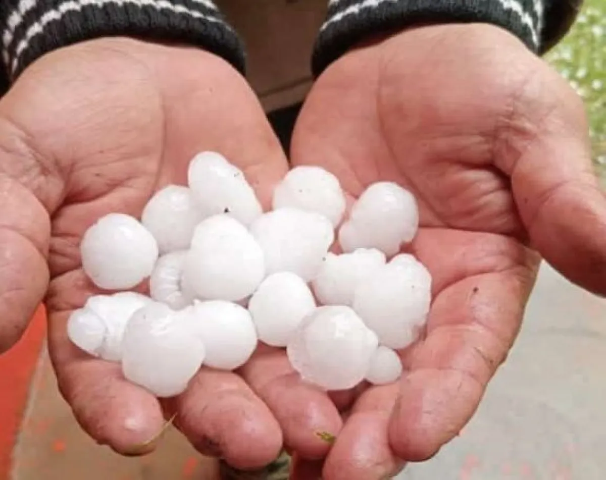 Abren las inscripciones para compensar daños por granizo en Neuquén ...