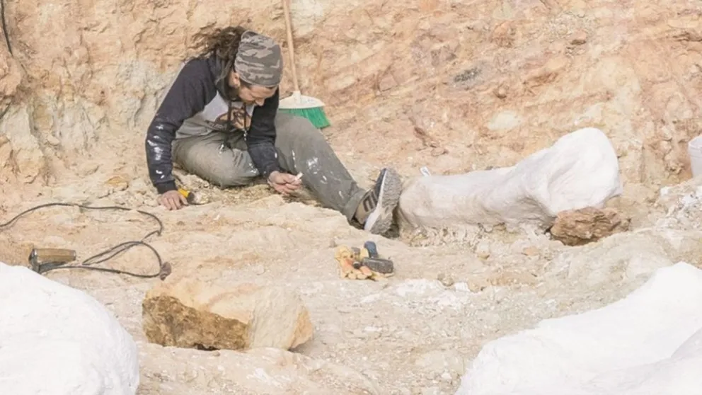 Guillermo Windholz en trabajo de campo. Foto: gentileza becario.
