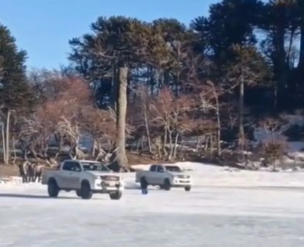 Video - Gentileza: Guardaparques ANPs Chañy - Batea Mahuida
