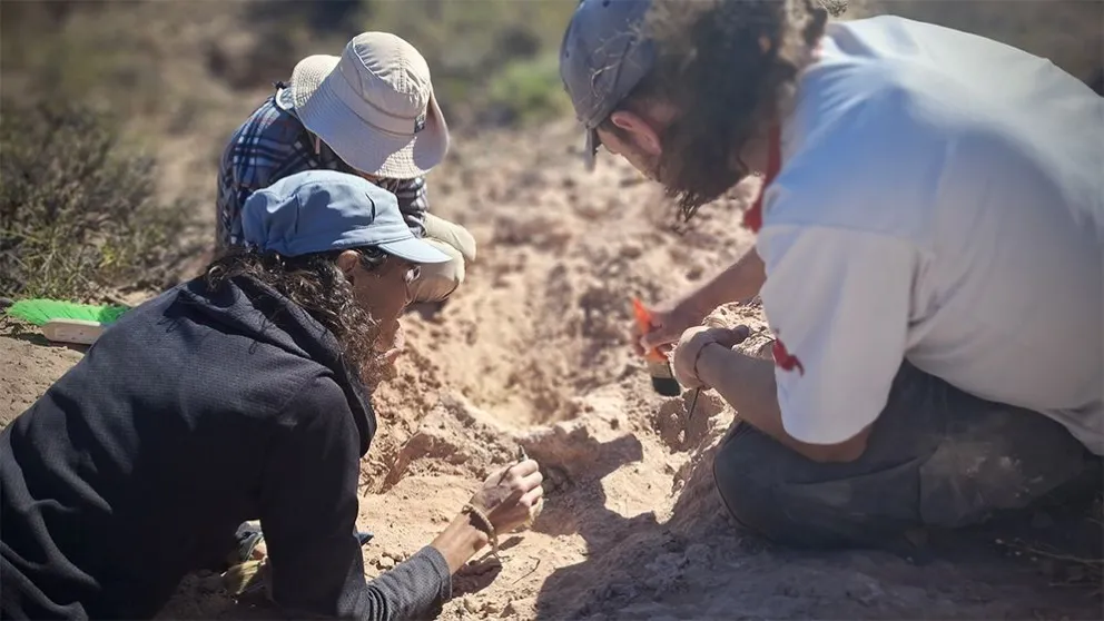 Agustina Lecuona, Mattia Baiano y Facundo Riguetti realizando trabajos de campo para extraer el fósil. Foto: Nahuel Aldir