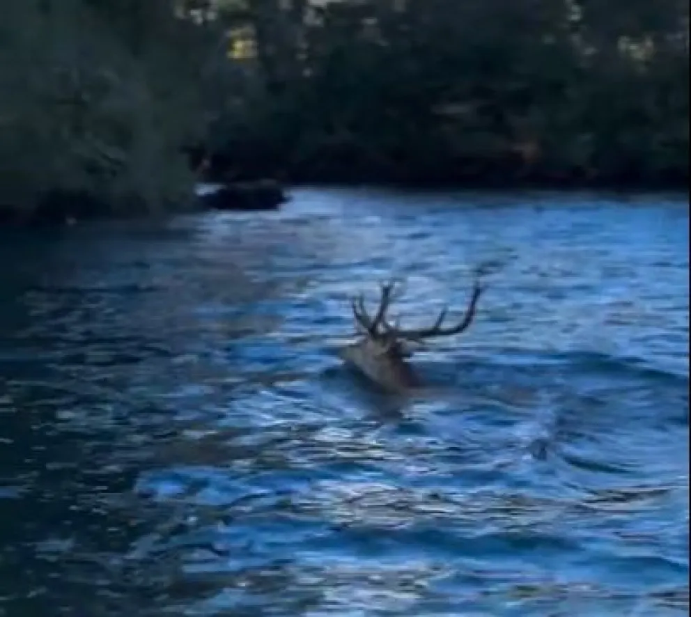 Video captado por Cristian Nordahl Olsen